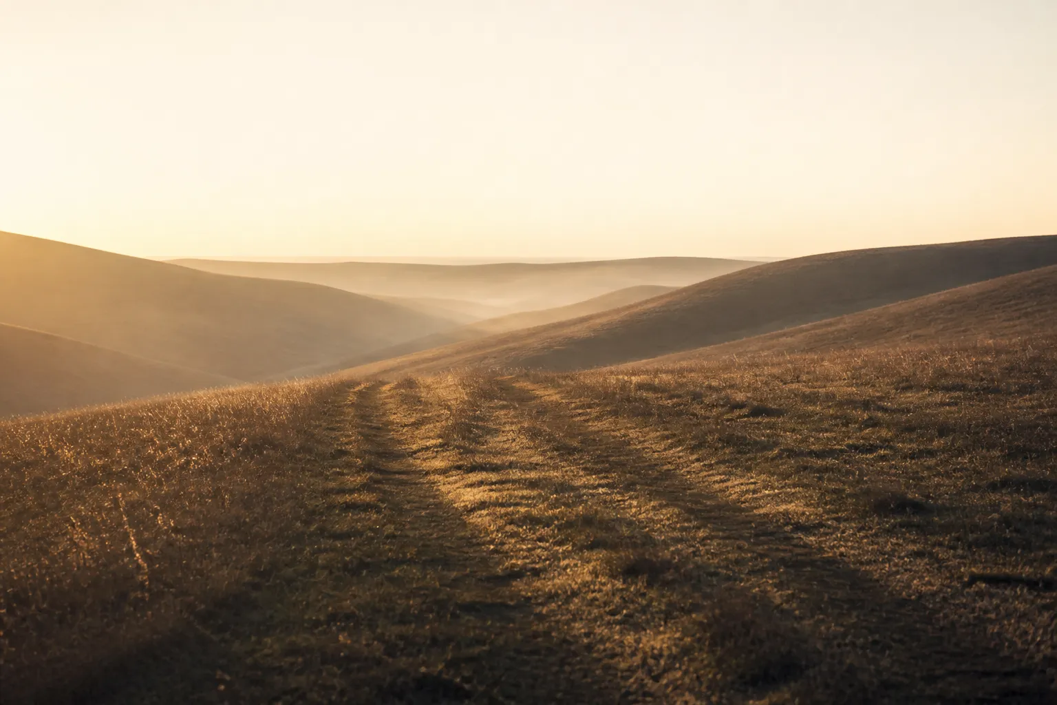 A path across dawn hills toward a low horizon